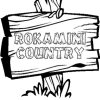 logo_ROKAMINI country